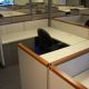 Steelcase Used Cubicles
