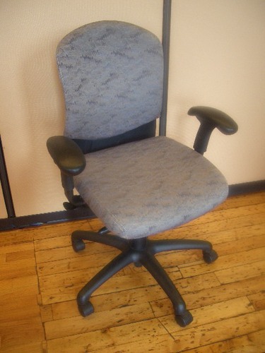 Harter Desk Chairs