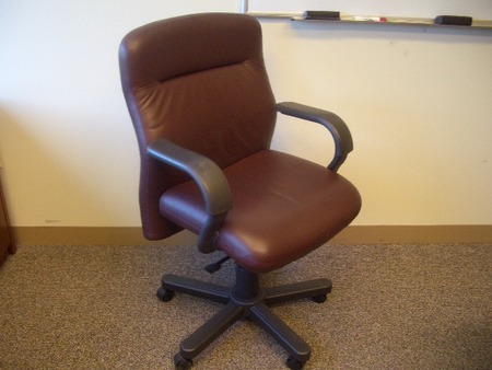 Knoll Leather Bulldogs
