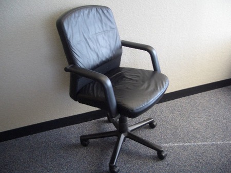 Vecta Leather Desk Chairs