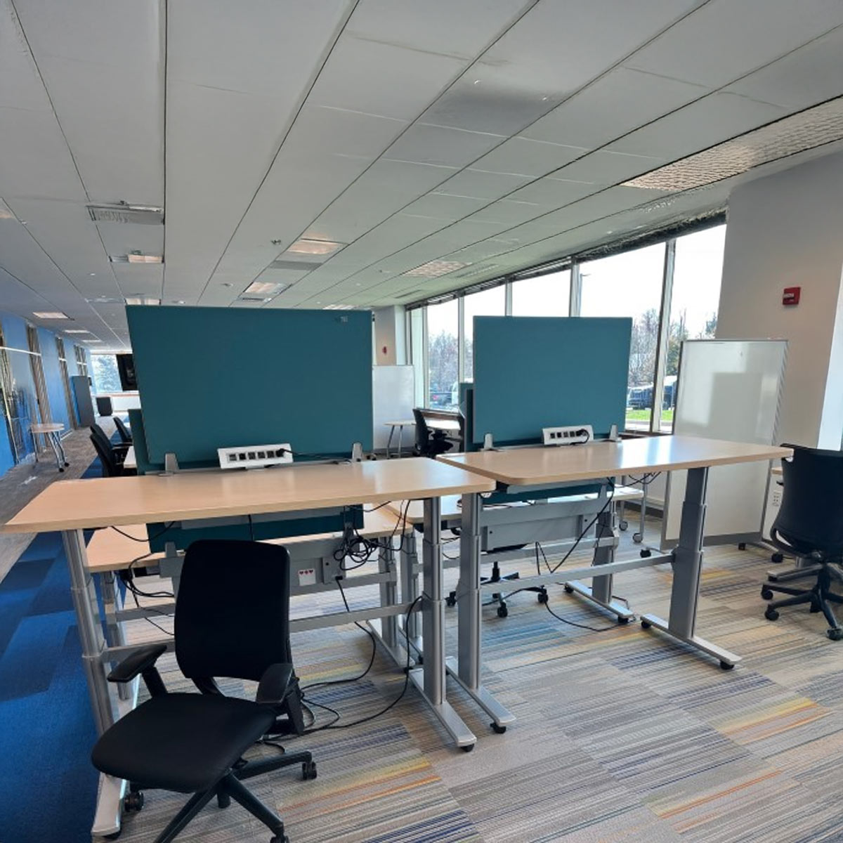 D12269 - Steelcase Ology Height-Adjustable Desks