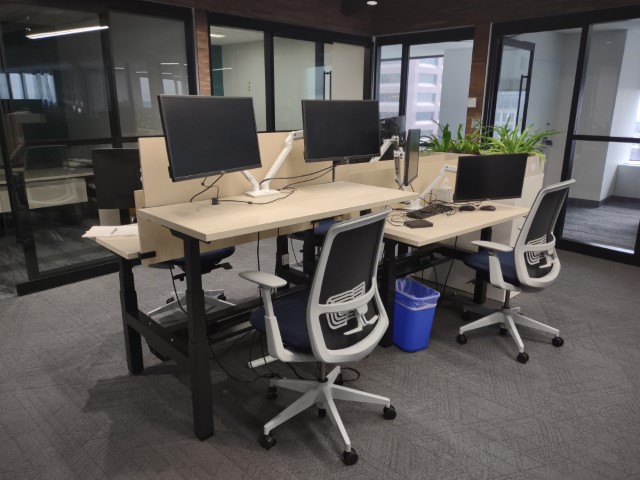 B6012 - Haworth Sit-Stand Desks