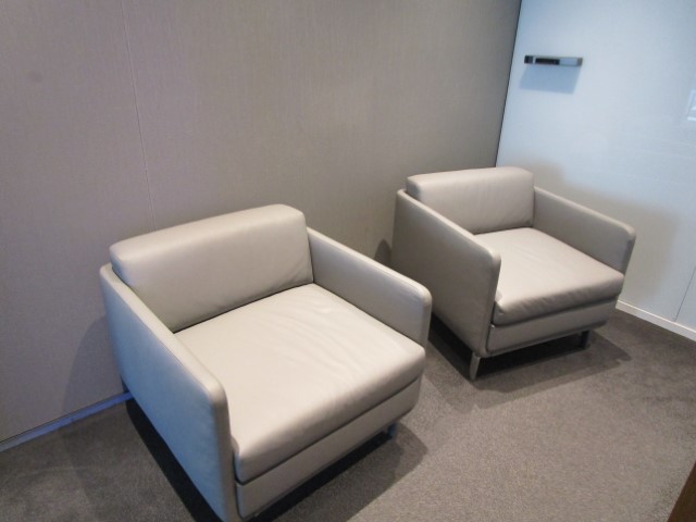 R6506 - Bernhardt Gaia Lounge Chairs