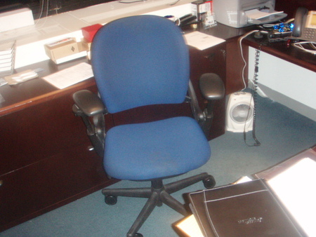 Steelcase Leap Chairs