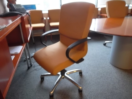 Bernhardt Conference Chairs