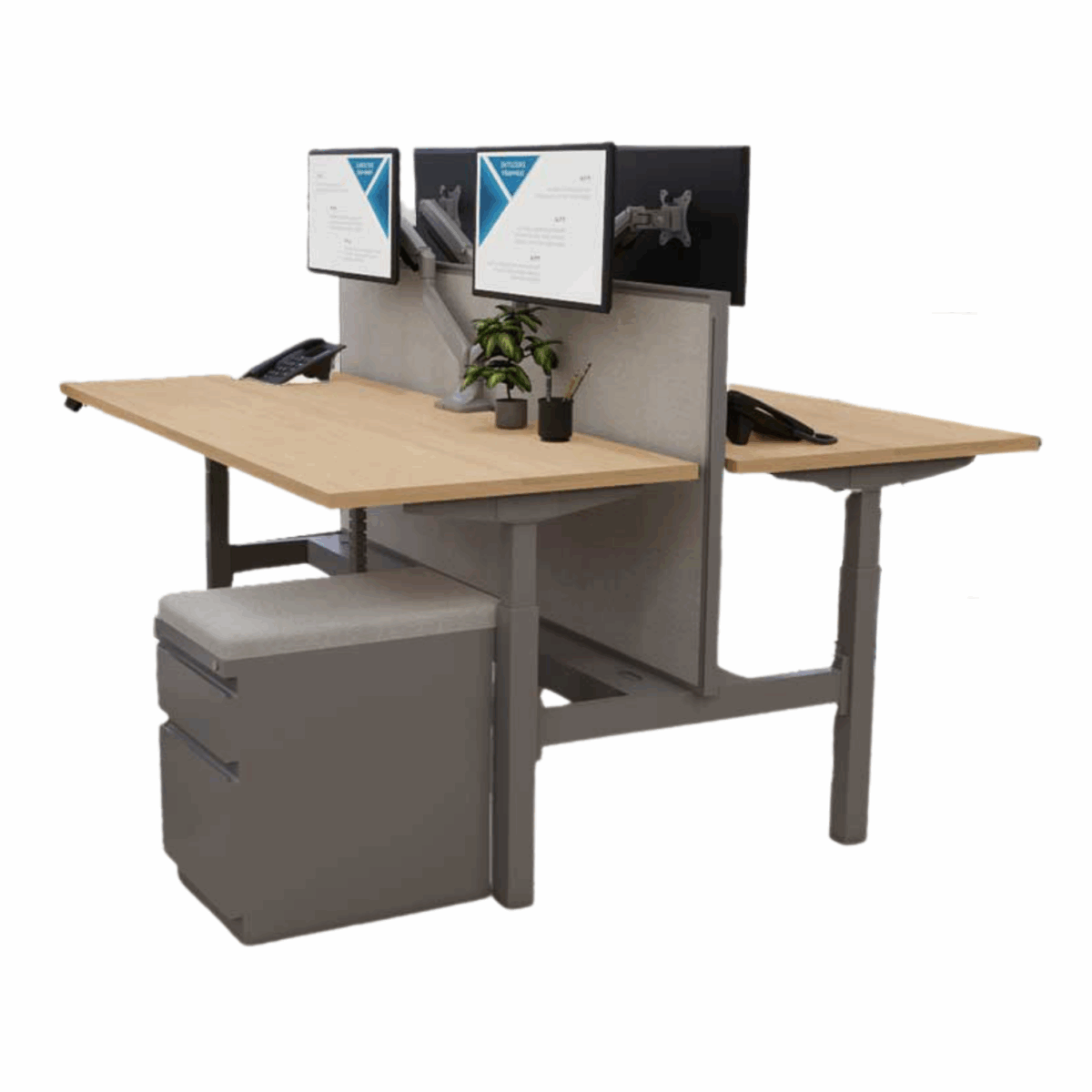Two modern office desks with light wood surfaces are arranged back-to-back. Each desk has a monitor, phone, and a small plant, creating an organized workspace.