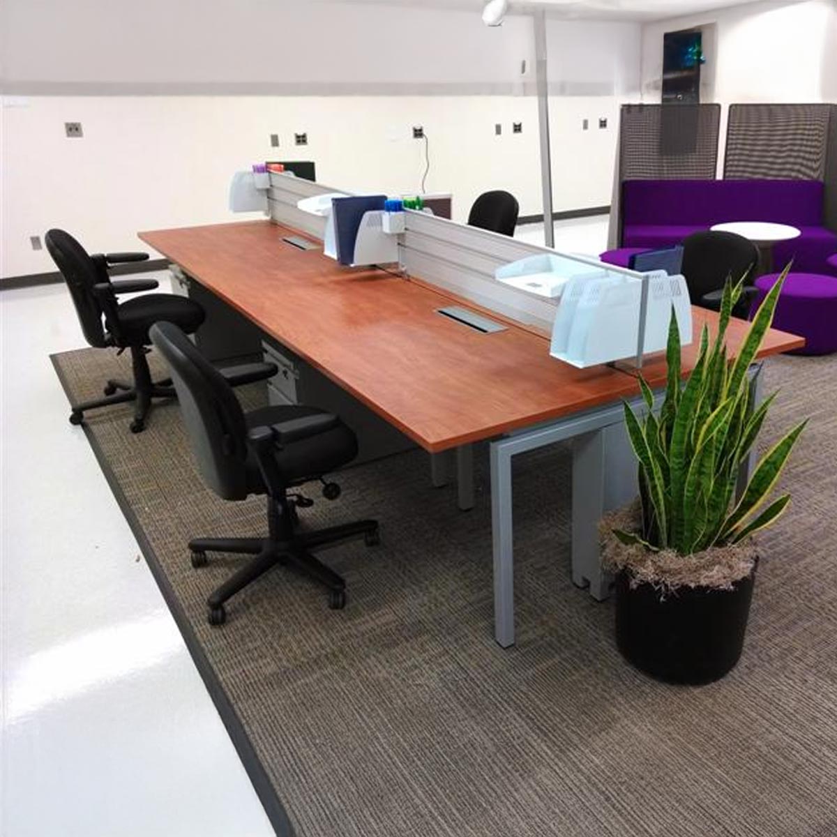 Modern office with a long wooden table, black chairs, a potted plant, and a purple couch. The space is open, bright, and minimalist.