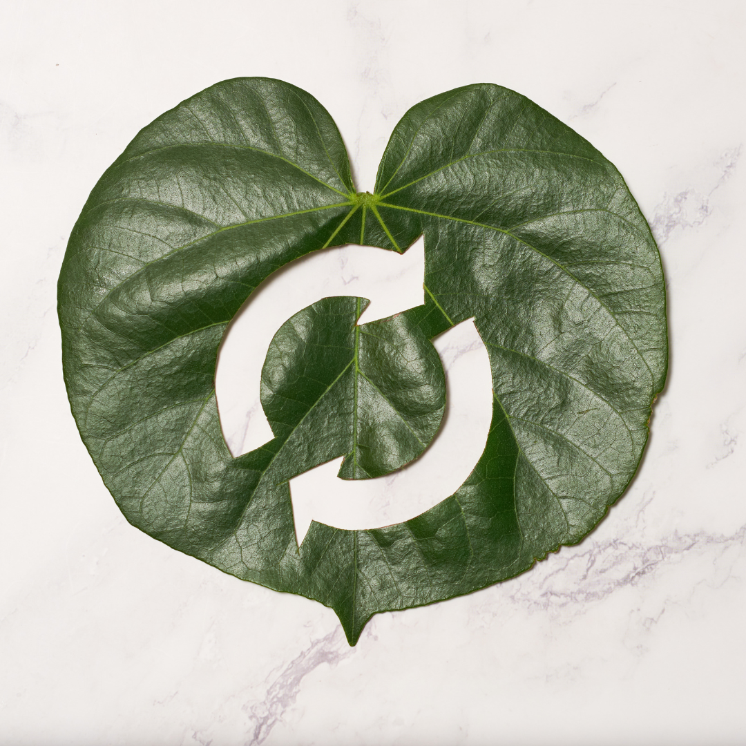 Circular Economy