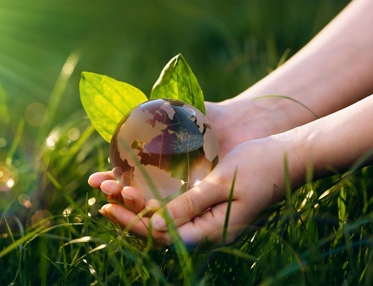 Other in pageHands holding the world in a green field 1200w x X