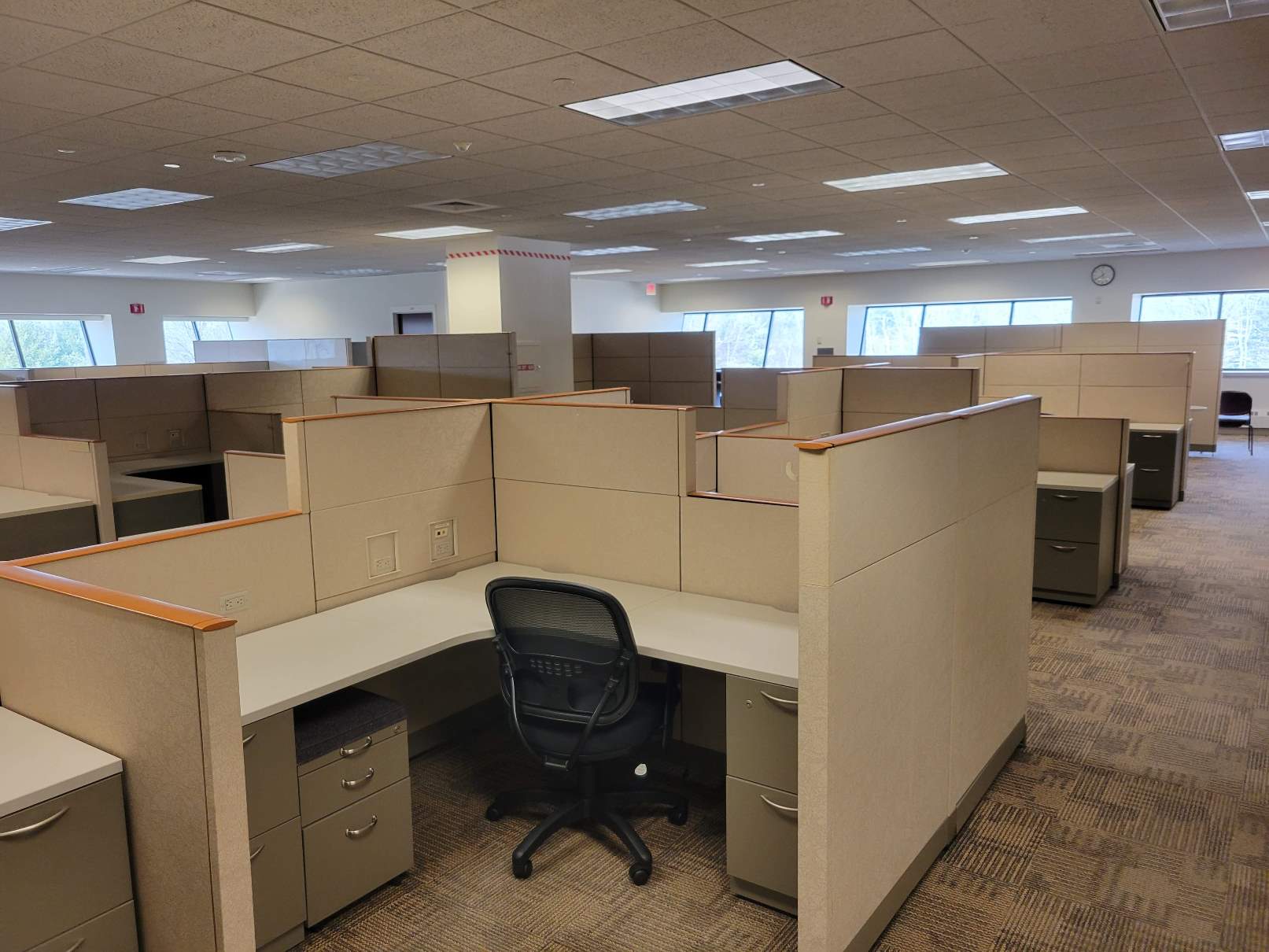 Empty office cubicles in a spacious room with beige partitions and neutral carpet. Natural light streams in from large windows, creating a calm atmosphere.