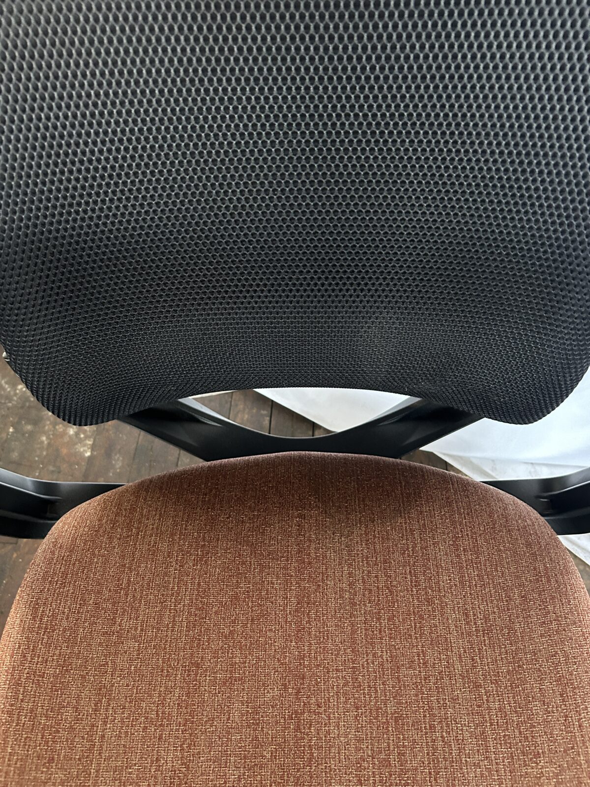 IMG 1886