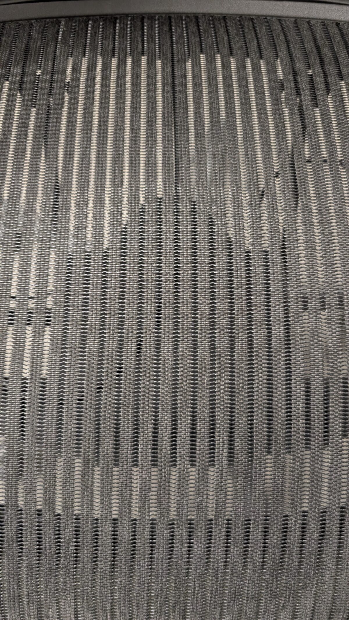 PXL 20251008 144649384