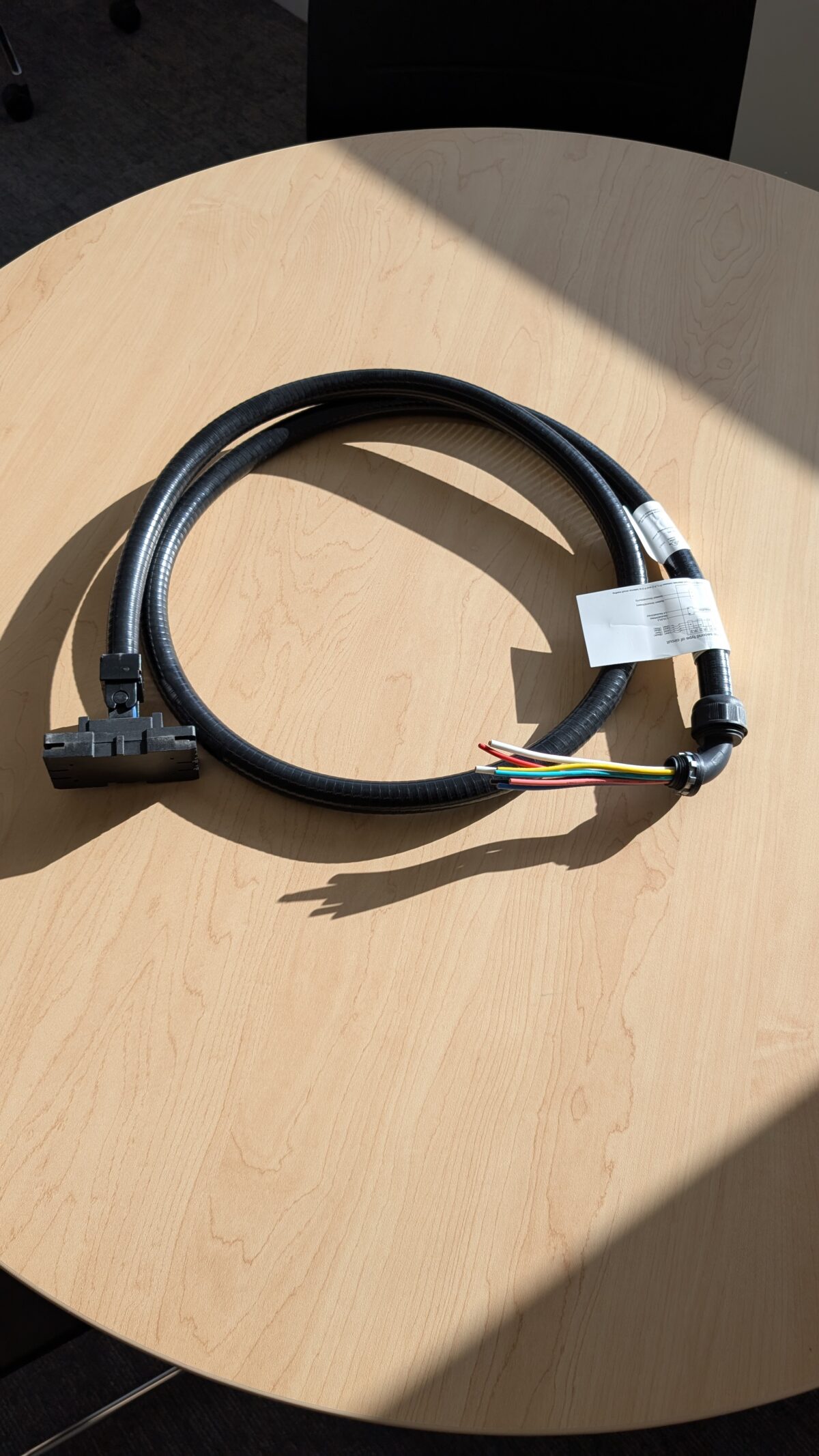 PXL 20251204 182238704