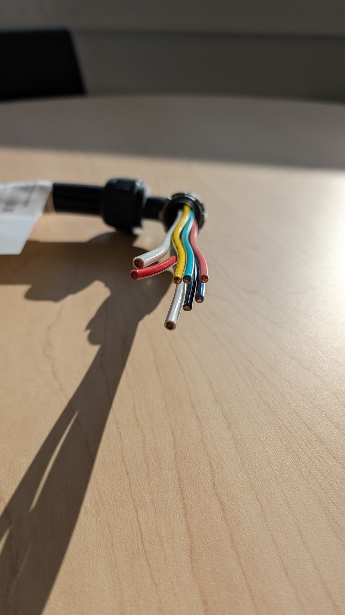 PXL 20251204 182250595