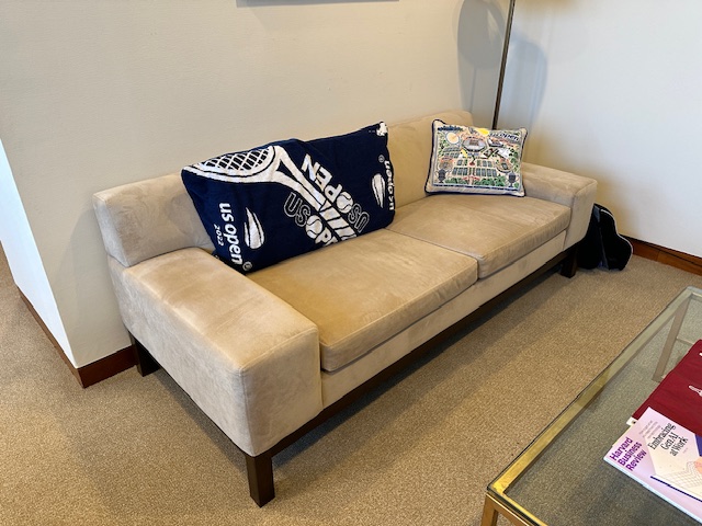West Elm Sofa