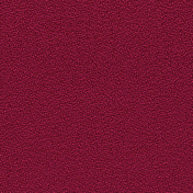 Prime Time.Fuschia Custom