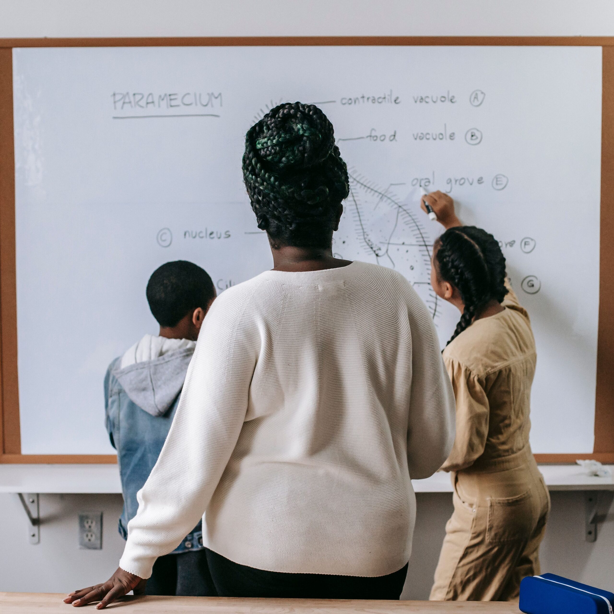 Black teacher with pupils studying school subject